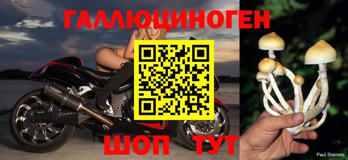 Псилоцибиновые грибы прущие грибы Саранск