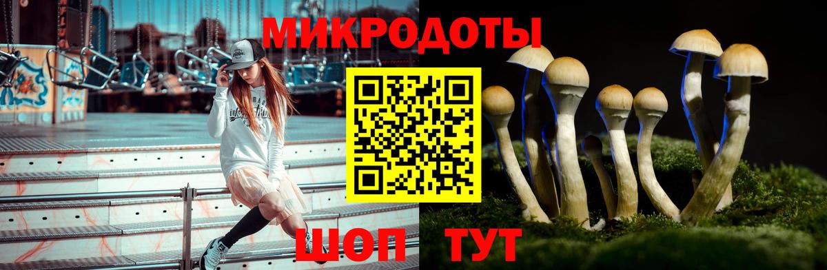 Галлюциногенные грибы Psilocybe  Псилоцибиновые грибы Cubensis  Вход с VPN  Саранск 
